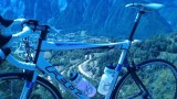 Training Tips